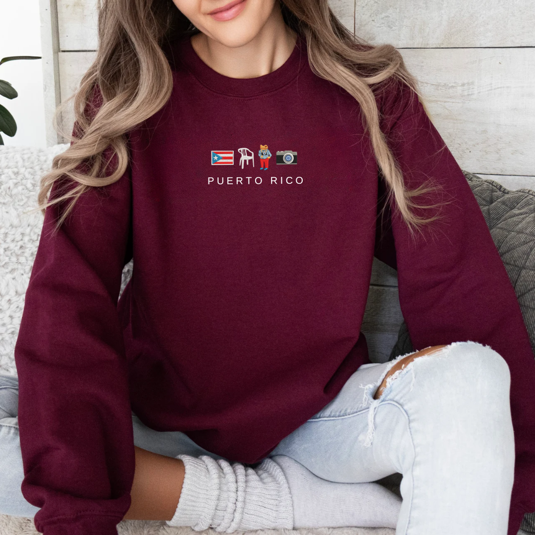 DTMF Puerto Rico Hoodie