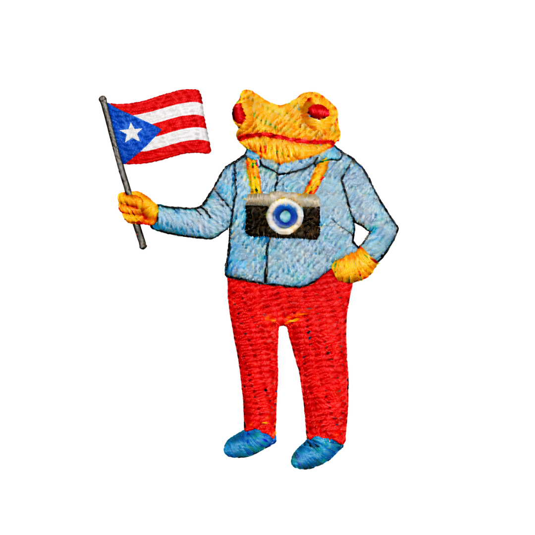 Puerto Rico Concho Baby Tee